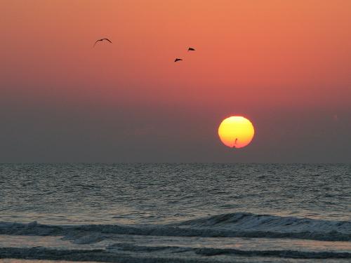 Jonesboro Ga To Beach Island Sc Jonesboro Ga To Beach Island Sc