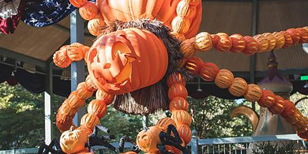 Creativity abounds at the Harvest Festival