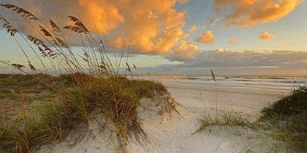 Enjoy a beautiful morning walk on the beach