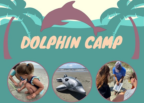 Sign up for our summer dolphin camps