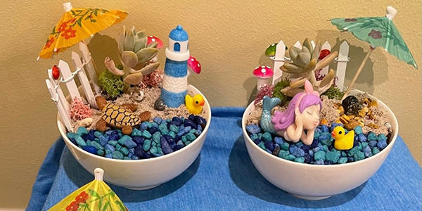 Design and create your own magical Fairy Garden