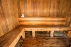 PV-sauna-fall-2022