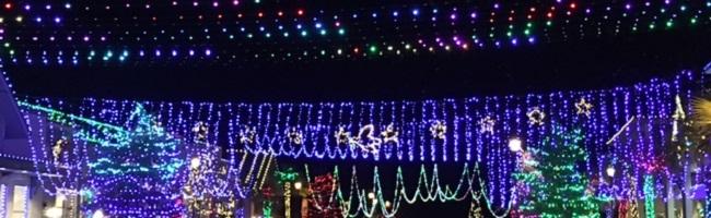 Happy Holidays from Hilton Head Island! Happy Holidays from Hilton Head Island!