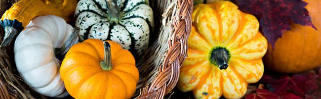 Come Along With Me… Branson’s National Harvest & Cowboy Festival Come Along With Me… Branson’s National Harvest & Cowboy Festival