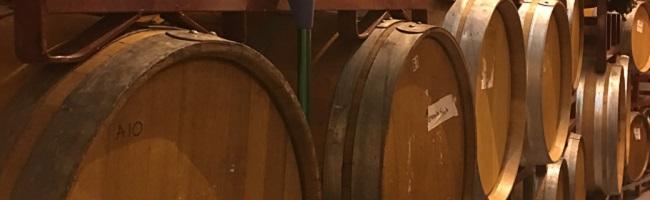 Five Wines You Must Try at Island Winery Five Wines You Must Try at Island Winery