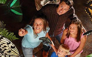Hidden Treasures in Branson Hidden Treasures in Branson