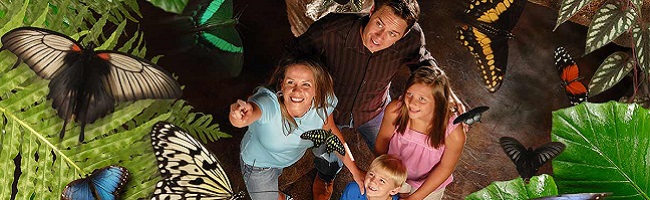 Hidden Treasures in Branson Hidden Treasures in Branson