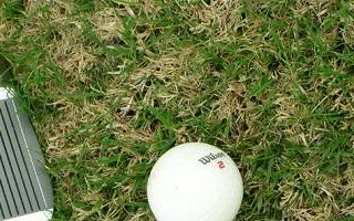 Best of the Best Golf on Hilton Head Best of the Best Golf on Hilton Head