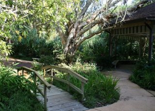 The Most Hidden Spot in Ormond Beach The Most Hidden Spot in Ormond Beach