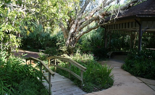 The Most Hidden Spot in Ormond Beach The Most Hidden Spot in Ormond Beach