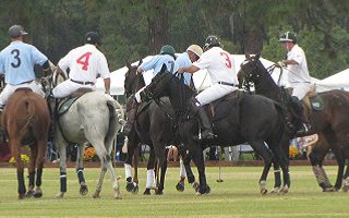 My Amazing Experience at the 24th Annual Polo for Charity My Amazing Experience at the 24th Annual Polo for Charity