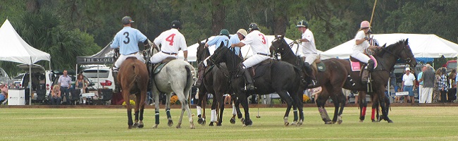 My Amazing Experience at the 24th Annual Polo for Charity My Amazing Experience at the 24th Annual Polo for Charity