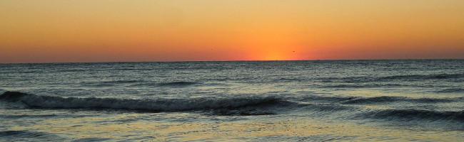 Enjoy Florida Nature’s Artistry on the Beach Enjoy Florida Nature’s Artistry on the Beach