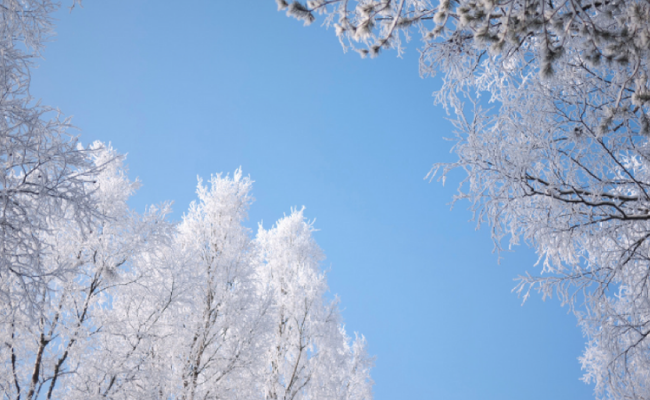 Winter Activities You Can’t Miss in 2019 Winter Activities You Can’t Miss in 2019