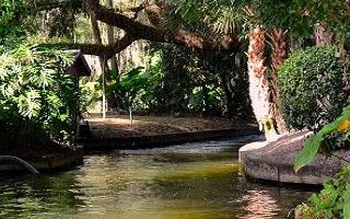 7 Reasons to Visit Washington Oaks Gardens State Park 7 Reasons to Visit Washington Oaks Gardens State Park
