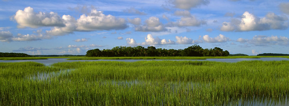 Pinckney Island National Wildlife Refuge – 4 Things to Do Pinckney Island National Wildlife Refuge – 4 Things to Do