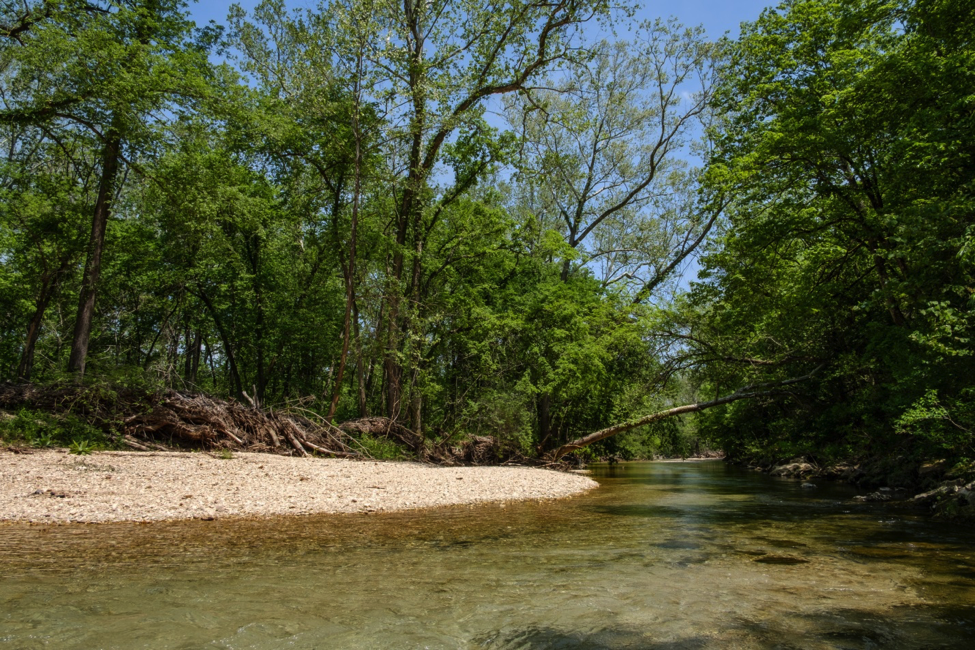 Busiek State Forest and Wildlife Area