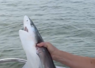 Hilton Head Island Fishing Charter