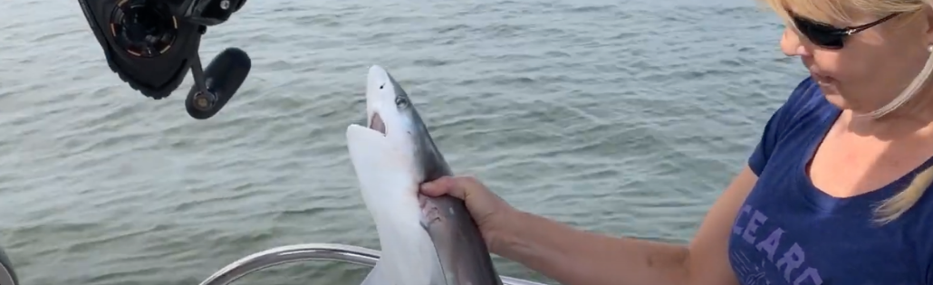 Hilton Head Island Fishing Charter Hilton Head Island Fishing Charter