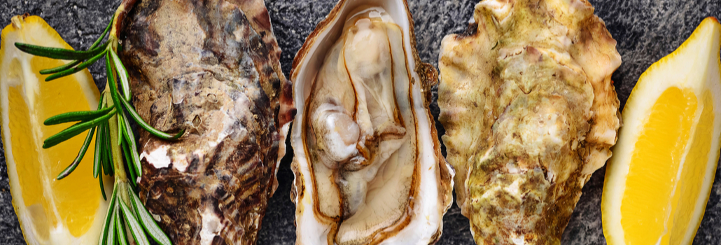 How to Shuck Oysters How to Shuck Oysters