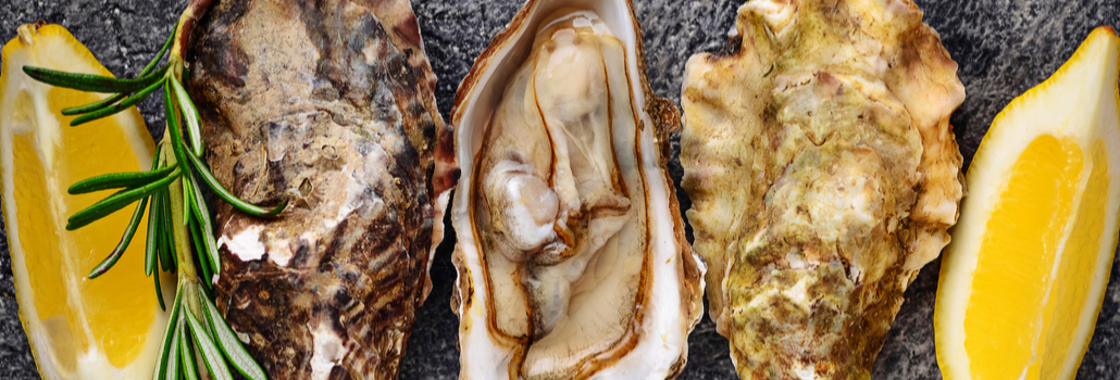  How to Shuck, Serve and Store Oysters