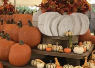 The Top 5 Fall Activities In or Near Ormond Beach, FL The Top 5 Fall Activities In or Near Ormond Beach, FL