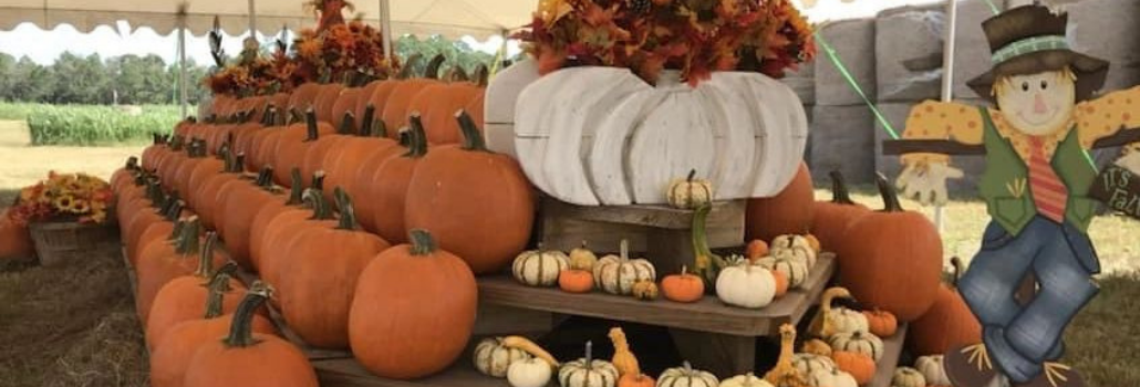 The Top 5 Fall Activities In or Near Ormond Beach, FL The Top 5 Fall Activities In or Near Ormond Beach, FL