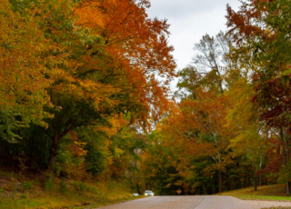 The Perfect Fall Getaway The Perfect Fall Getaway